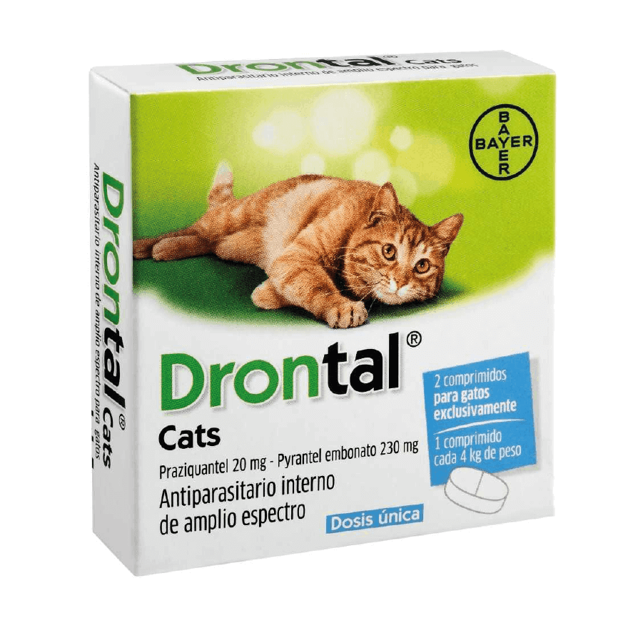 Drontal Cat