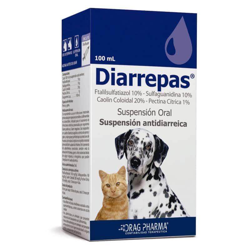 Diarrepas jarabe 100 ml