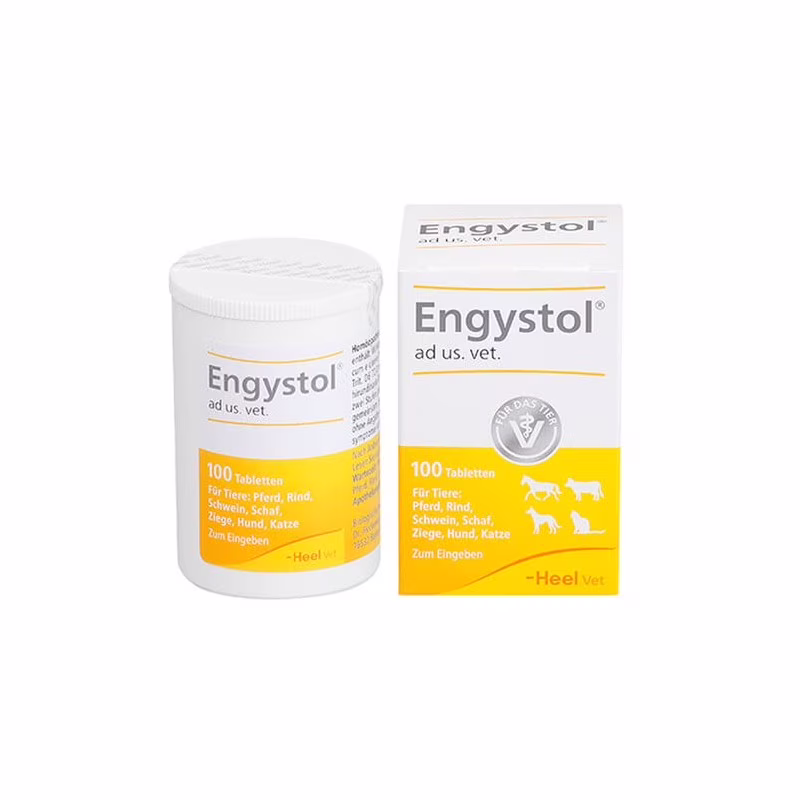 Engystol 100 comprimidos